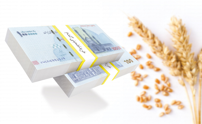 افزایش تولی دگندم 2