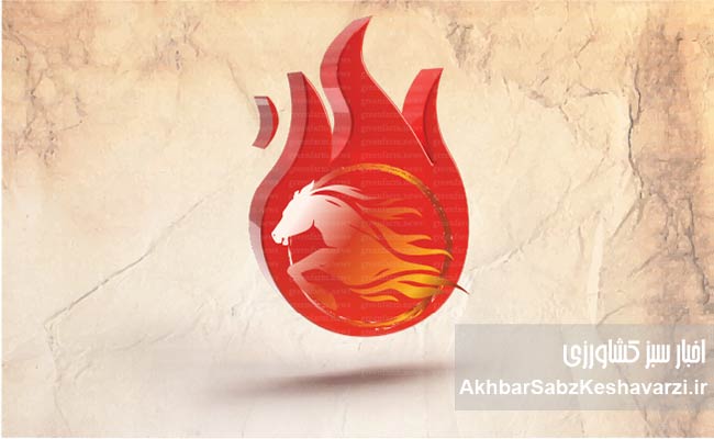 سال-اسب-با-لگدپرانی-خجسته‌باد!-1
