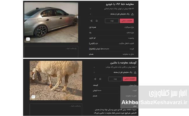 معاوضه-گوسفند-با-خودرو