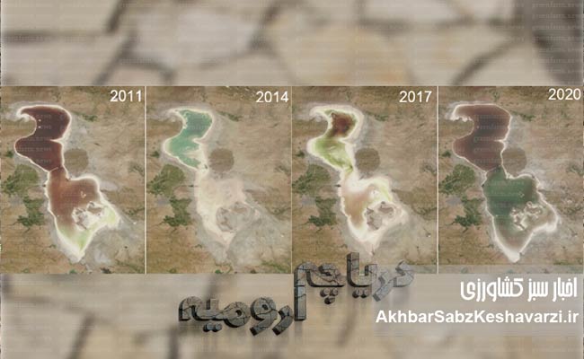 چه-کسانی-دریاچه-ارومیه-را-خشکاندند؟-4