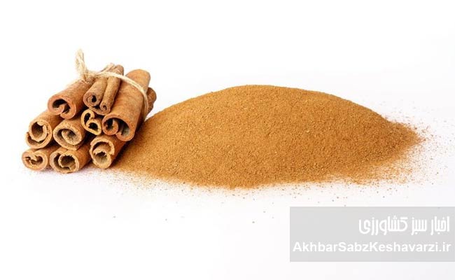 تنظیم-قند-خون-با-دارچین1