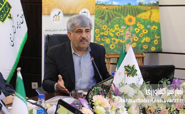 اوسطی-بیمه-کشاورزی-باید-به-طراز-امنیت-غذایی-ایران-برسد