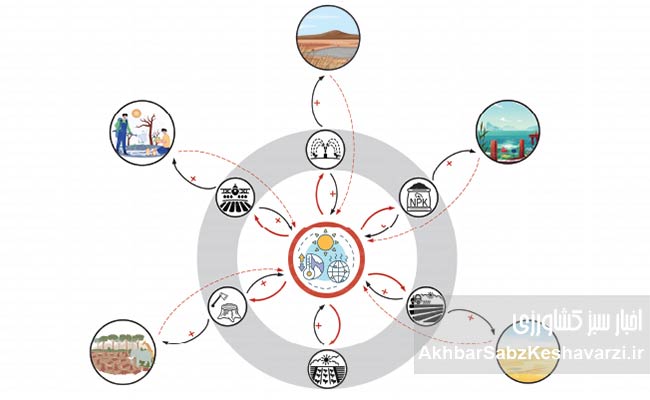 میلیون‌ها-هکتار-اراضی-کشاورزی-آلوده-به-فلزات-سنگین-1