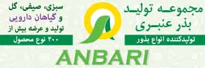 عنبری 