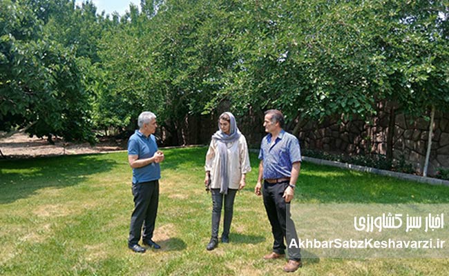نقش-شگفت‌انگیز-زنان-در-کشاورزی-و-باغداری-ایران2
