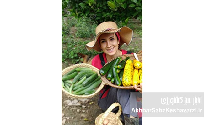 مهاجرت-معکوس-و-خودکفایی-در-قلب-مازندران-2