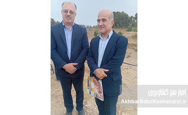 پرورش-میگو-در-استان-مازندران7