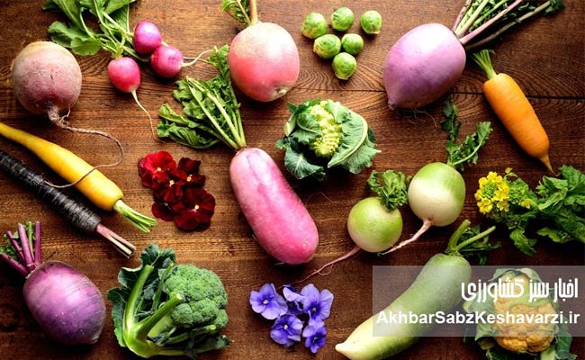 راز-پنهان-سرما-در-سبد-غذایی-ایرانی‌ها