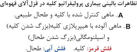 کنترل انگل در ماهی