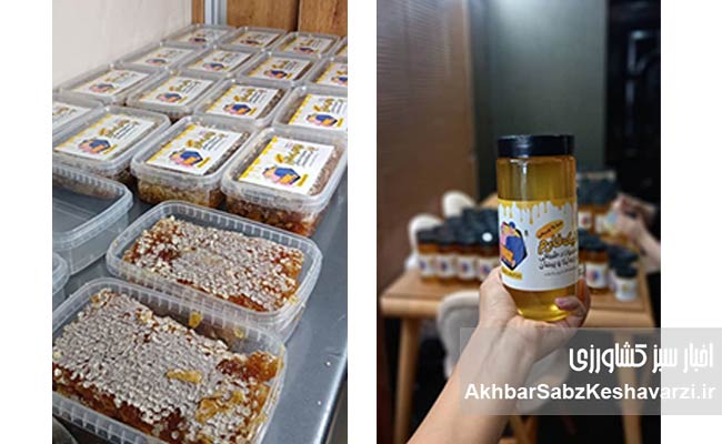 ویای-تولید،-فراتر-از-رفاه-شهری-حکایت-عشق-و-کارآفرینی-5
