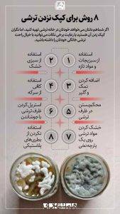کپک ترشی و راه‌های جلوگیری آن