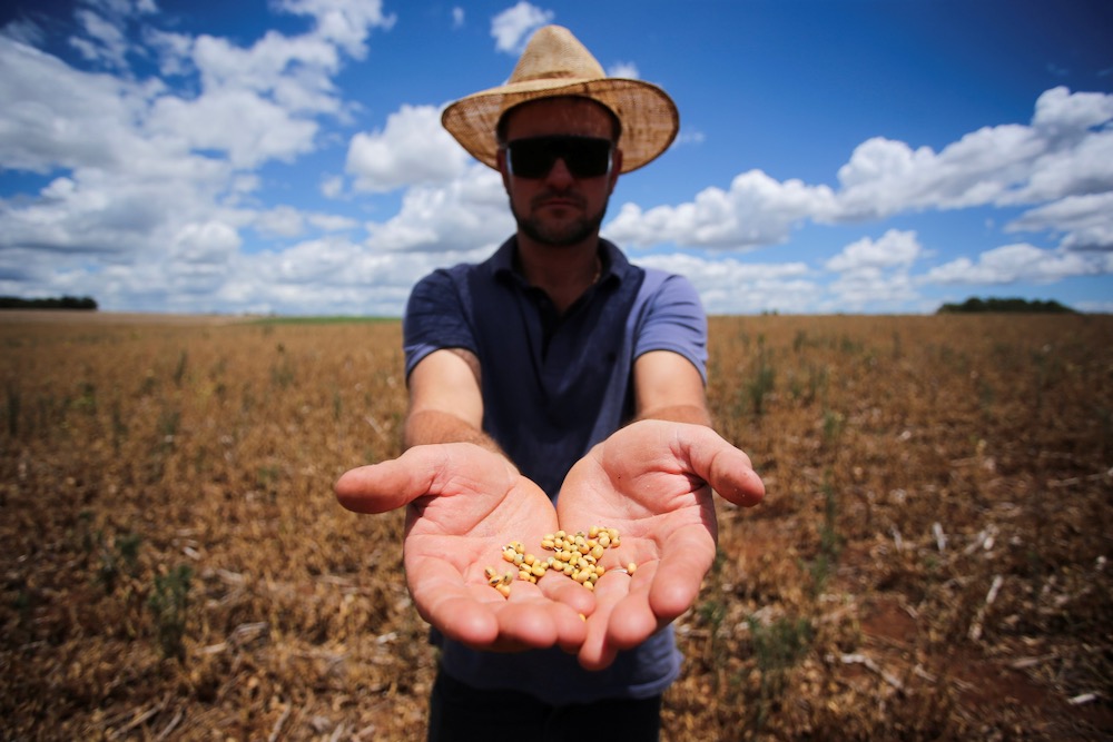 South American soy, corn crops face major disaster - AGCanada - AGCanada