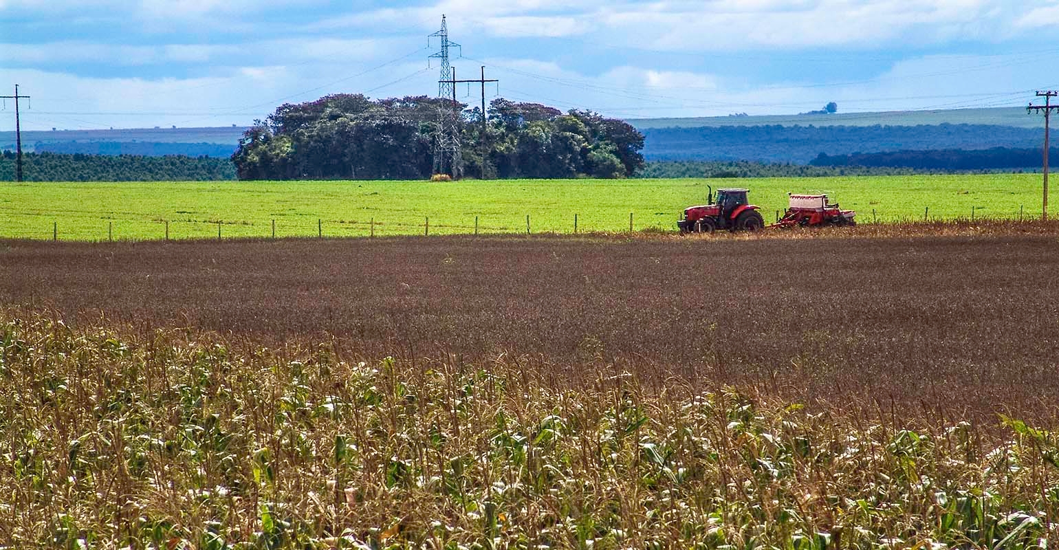 Brazil set to plant soybeans