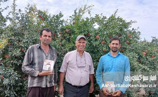 انارِ جان‌سخت در دلِ کویر گلستان (2)