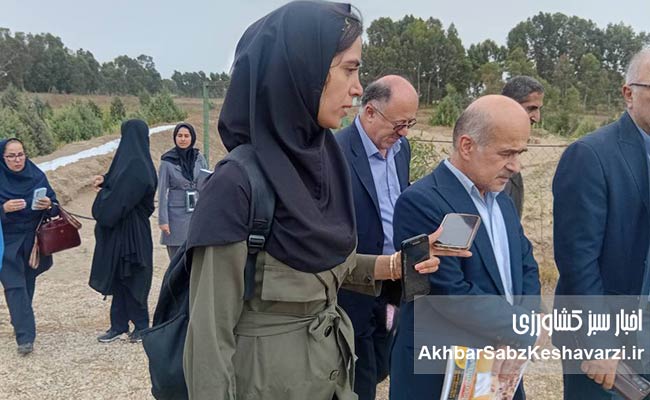پرورش-میگو-در-استان-مازندران8