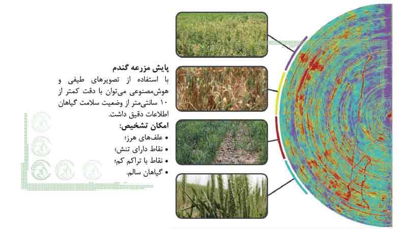 نقش تکنولوژی در کشاورزی دقیق