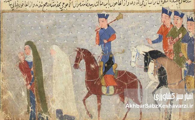 زنانی-که-ایران-را-از-دل-بحران‌ها-نجات-دادند-5