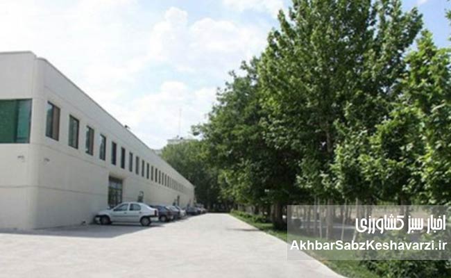 صنعت-چوب-ایران؛-ظرفیتی-که-با-سرمایهگذاران-بومی-جان-میگیرد.jpg-2