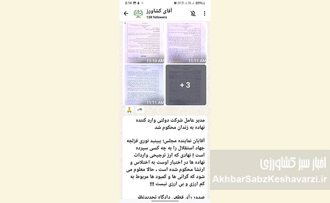 محکومیت-مدیرعامل-شرکت-دولتی-واردکننده-نهاده-7