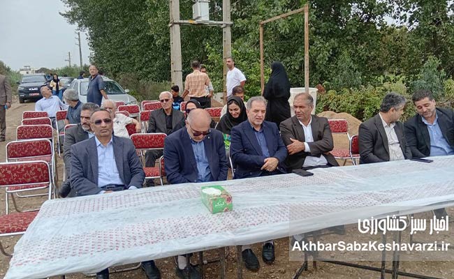 آب-بندها-در-استان-مازندران-مستعد-توسعه-ماهیان-گرمابی--است6