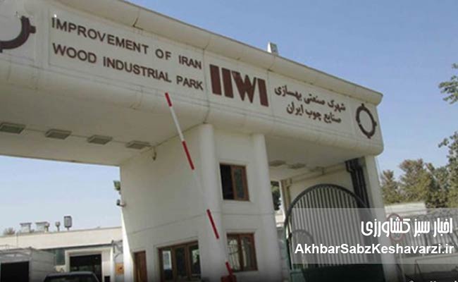 صنعت-چوب-ایران؛-ظرفیتی-که-با-سرمایهگذاران-بومی-جان-میگیرد