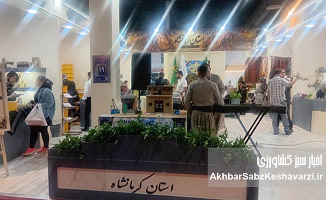 نمایشگاه-روستایی-و-عشایری؛-گویای-توانمندی‌های-بزرگ-تولیدات-کشور7