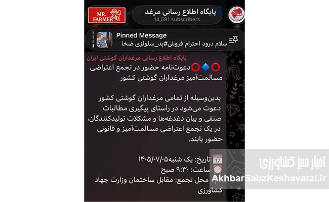 فریاد-مرغداران-گوشتی-به-پاستور-رسید؛-قرار-تجمع-مقابل-جهاد11