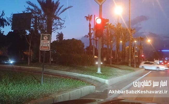 شهر؛-جایی-که-طبیعت-و-انسان-باید-کنار-هم-زندگی-کنند.2