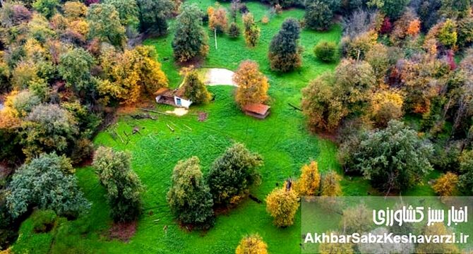 پلمب دفتر مدعی فروش جنگل‌های هیرکانی؛ ماجرای «جنگل‌فروشی با نام موقوفه» چه بود؟
