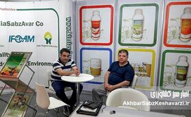 زمان ثبت محصولات جدید کاهش یابد