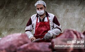 گرانی گوشت قرمز؛ دام ارزان، اما گوشت گران!