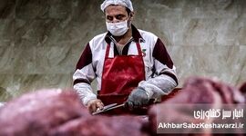 گرانی گوشت قرمز؛ دام ارزان، اما گوشت گران!