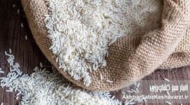 قیمت برنج پاکستانی اعلام شد؛ شوک قیمتی در بازار هر کیسه ۱۰ کیلویی