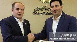 انتصاب بهزاد باباخانی به مدیرعاملی شرکت خدمات حمایتی

