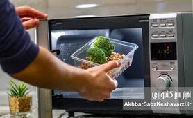 خطر آتش‌سوزی در آشپزخانه؛ این ظروف را هرگز در فر نگذارید

