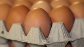 صادرات تخم‌مرغ از مرز ۱۴۰ هزار تن گذشت
