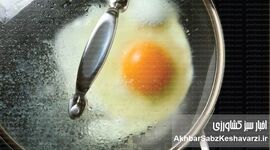 از عسلی تا فریتاتا: ۱۰ روش شگفت‌انگیز و کاربردی برای پخت تخم‌مرغ+ راهنمای کامل صبحانه
