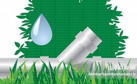 مدیریت مصرف آب در کشت تابستانه