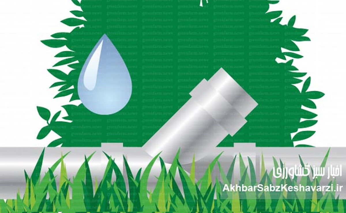 مدیریت مصرف آب در کشت تابستانه