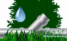 مدیریت مصرف آب در کشت تابستانه