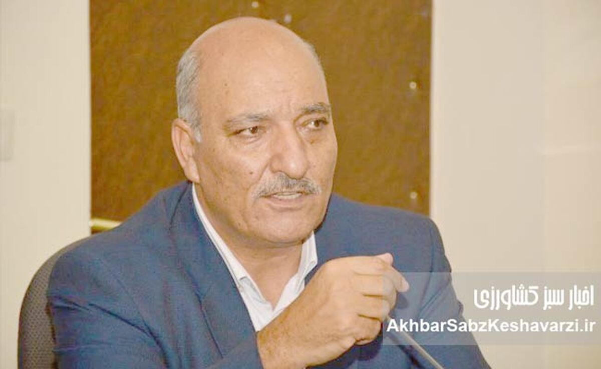 غرامت کشاورزان کمتر از یک هفته پرداخت می‌شود؛ خبر خوش برای گندمکاران