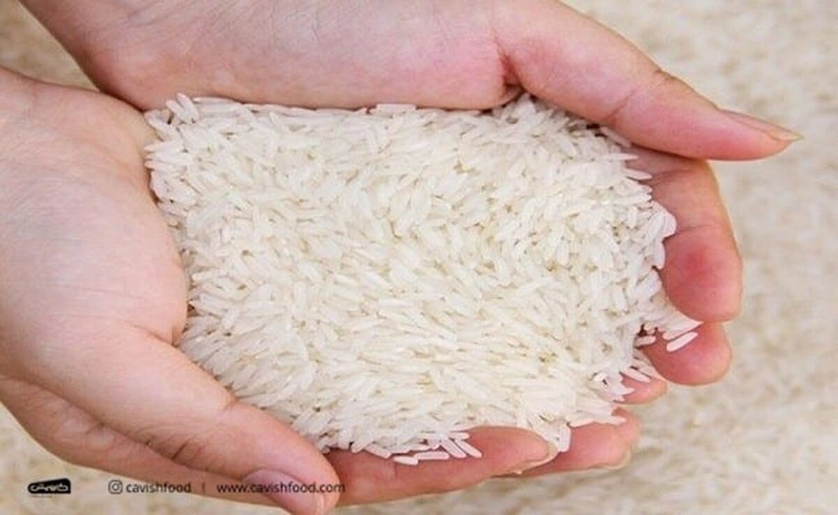 تقاضای ایران برای برنج باسماتی هند پابرجاست؛ اما تجارت در تنگنای تحریم و لجستیک