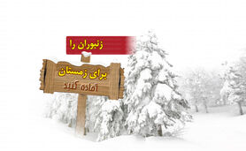 زنبوران را برای زمستان آماده کنید

