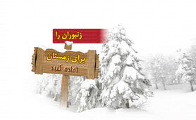 زنبوران را برای زمستان آماده کنید

