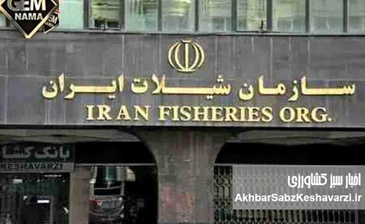 اهمیت حیاتی حوزه شیلات و ظرفیت تشکیل نهاد مستقل در ساختار وزارتخانه‌ای