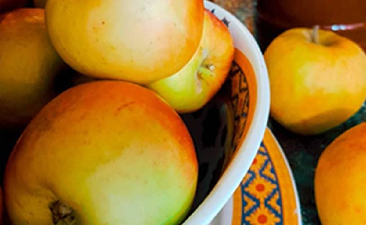 این داستان پخت انواع شیره

