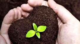 نام وزارتخانه های کشاورزی در کشورهای مختلف