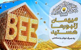 «سرزمین زنبورها» مجموعه‌ای با اهداف ملی

