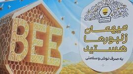 «سرزمین زنبورها» مجموعه‌ای با اهداف ملی

