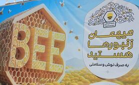 «سرزمین زنبورها» مجموعه‌ای با اهداف ملی

